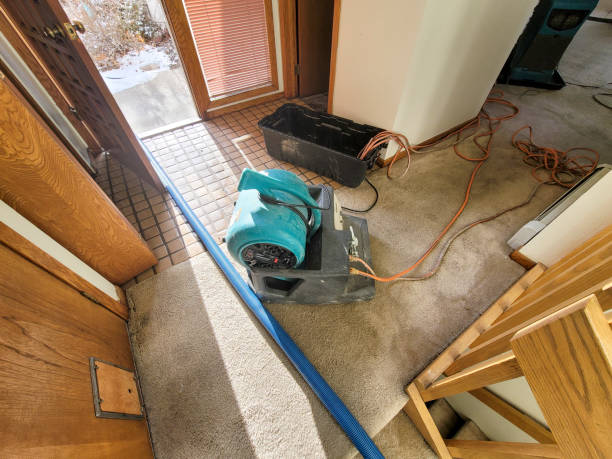 Best Water damage restoration near me  in Kiel, WI